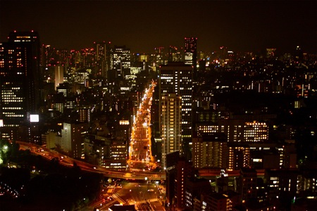 Tokyo Tower View